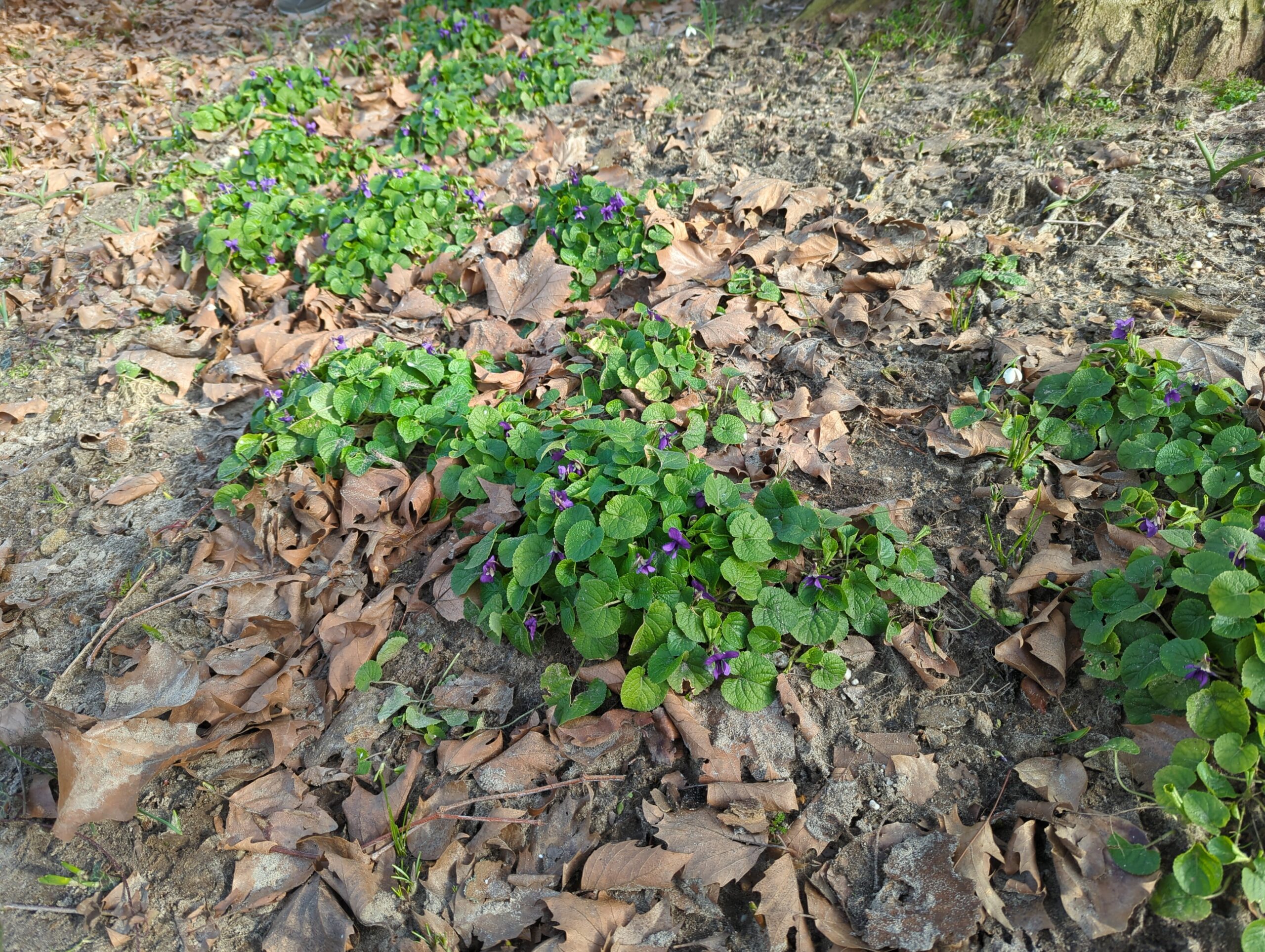 IMG_20230215_131428_260