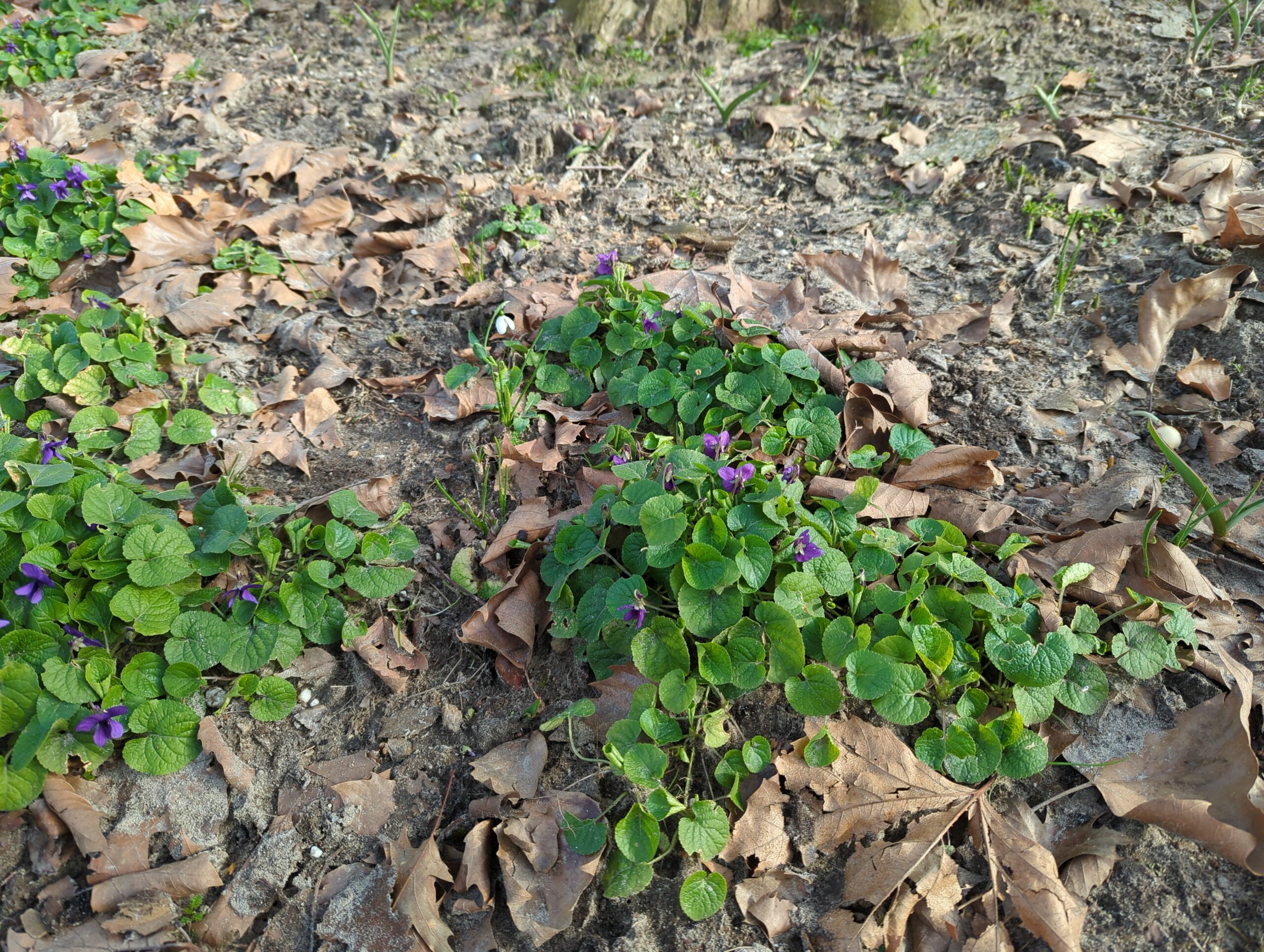 IMG_20230215_131431_316