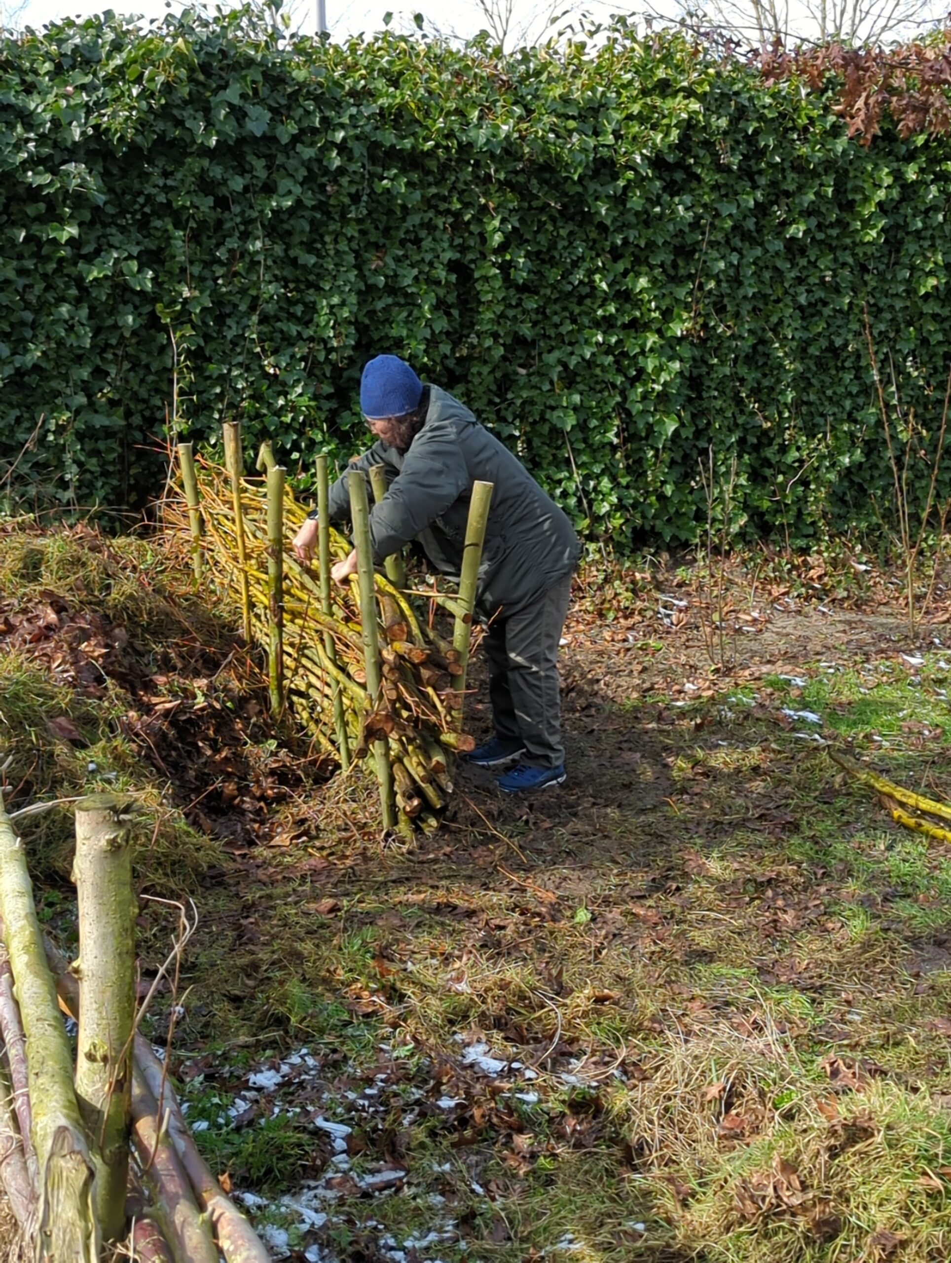 IMG_20230311_115121_318