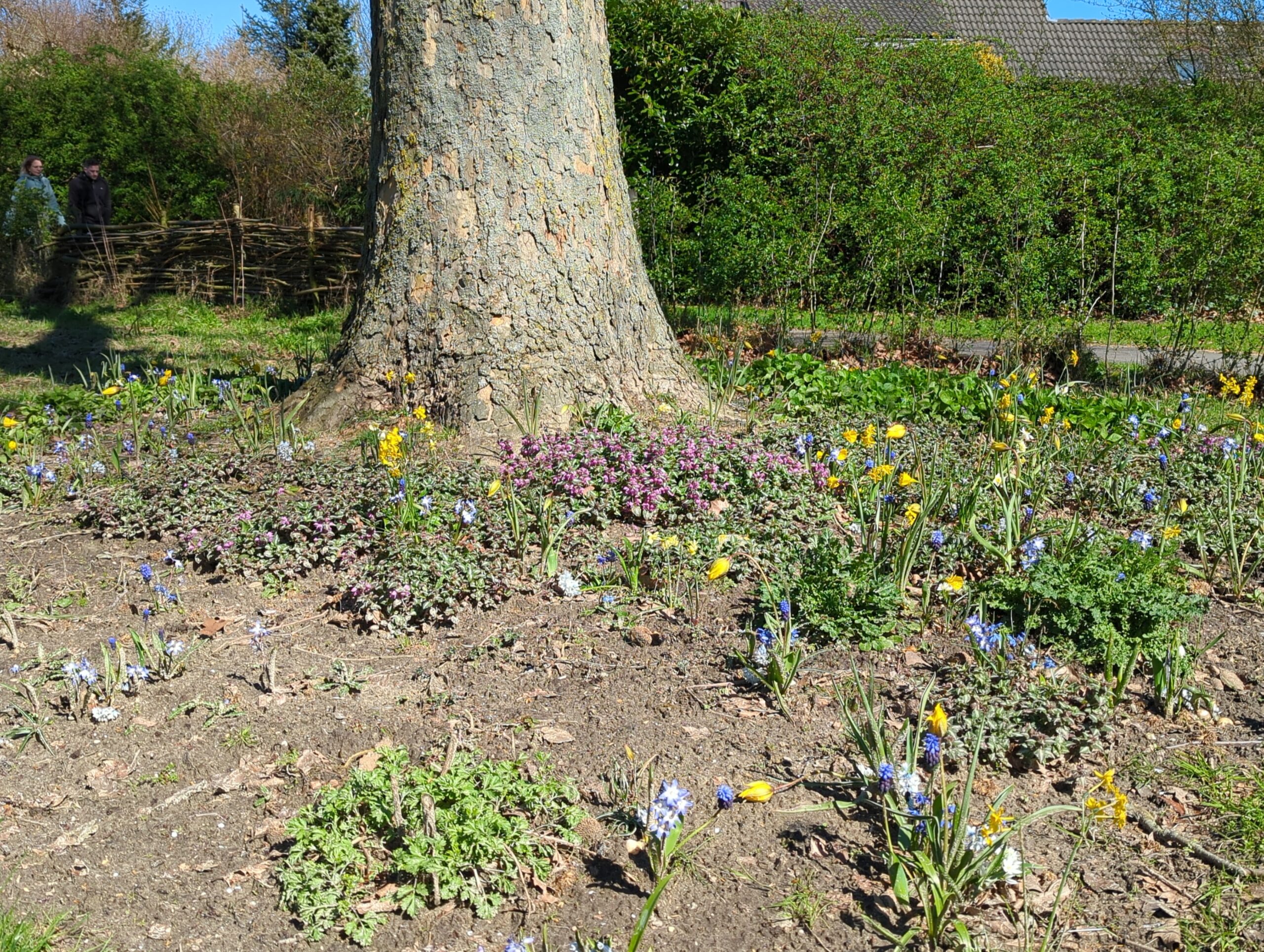 IMG_20230403_125701_661