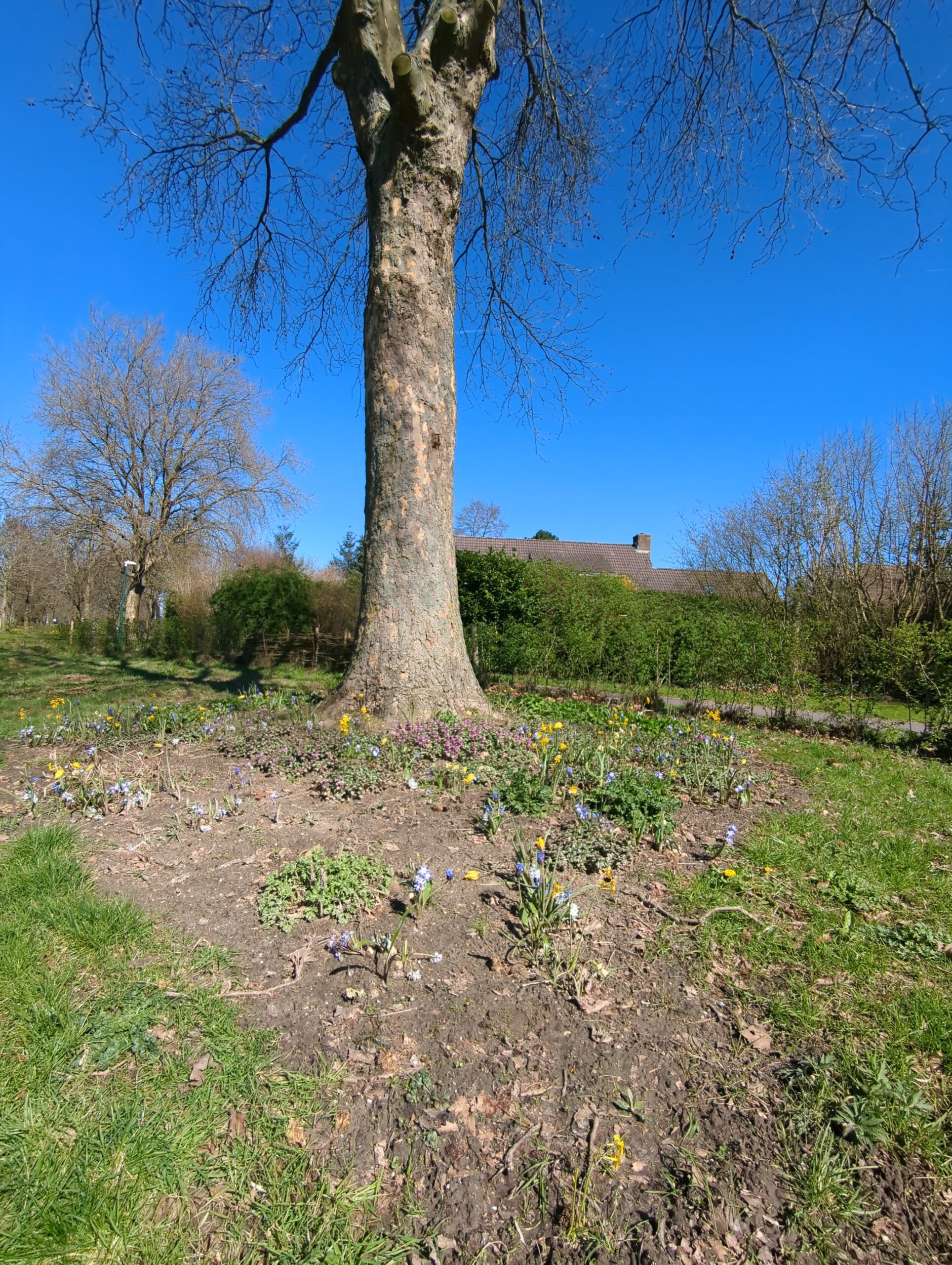 IMG_20230403_125757_299