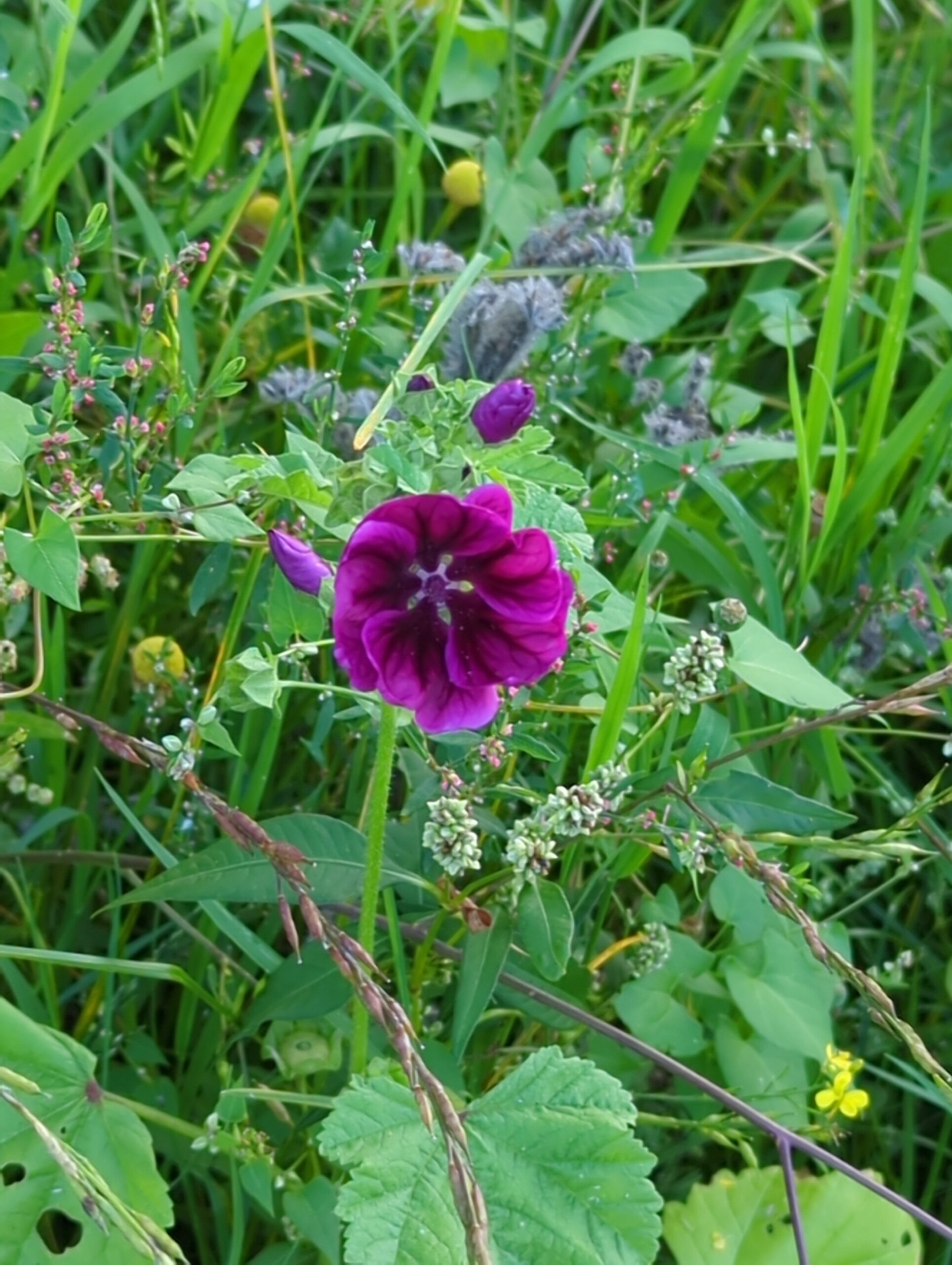 IMG_20230823_201717_734