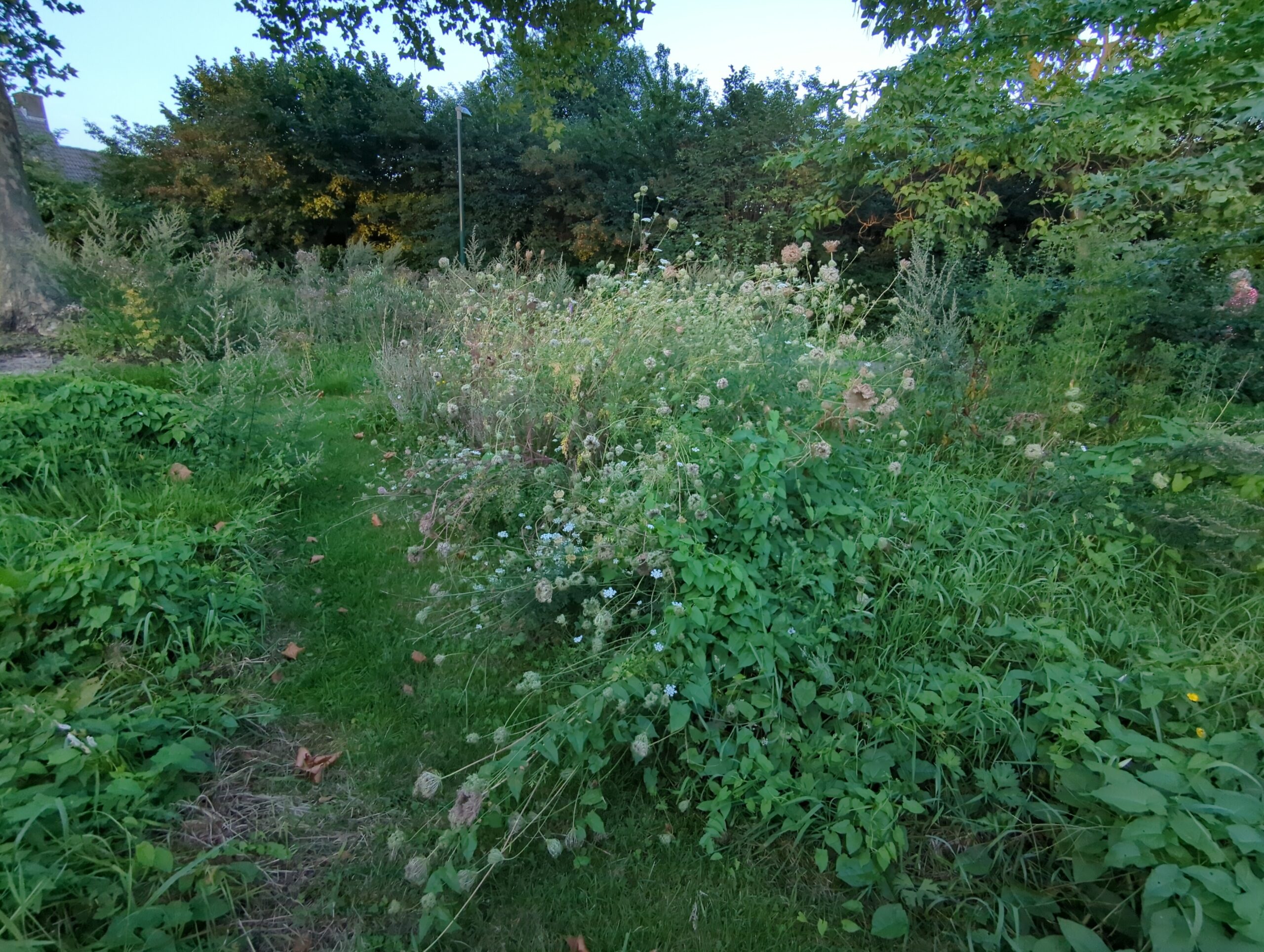 IMG_20230823_202332_940