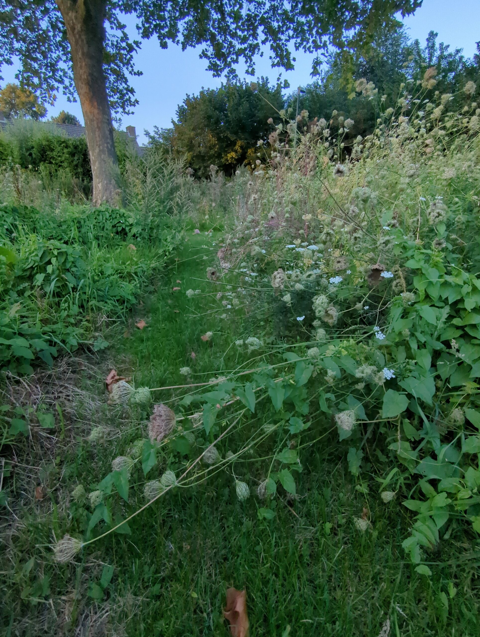 IMG_20230823_202350_328