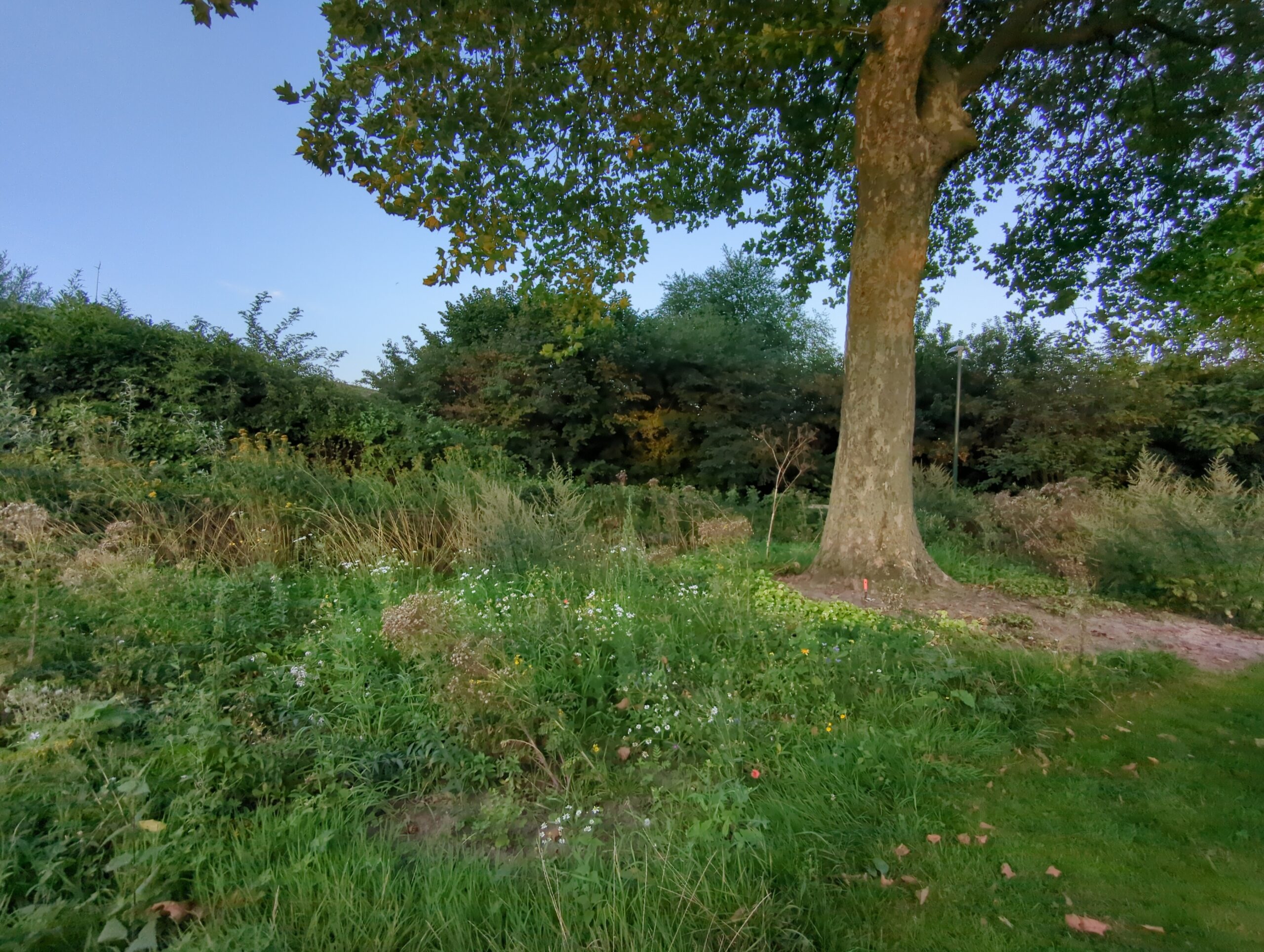 IMG_20230823_202653_447