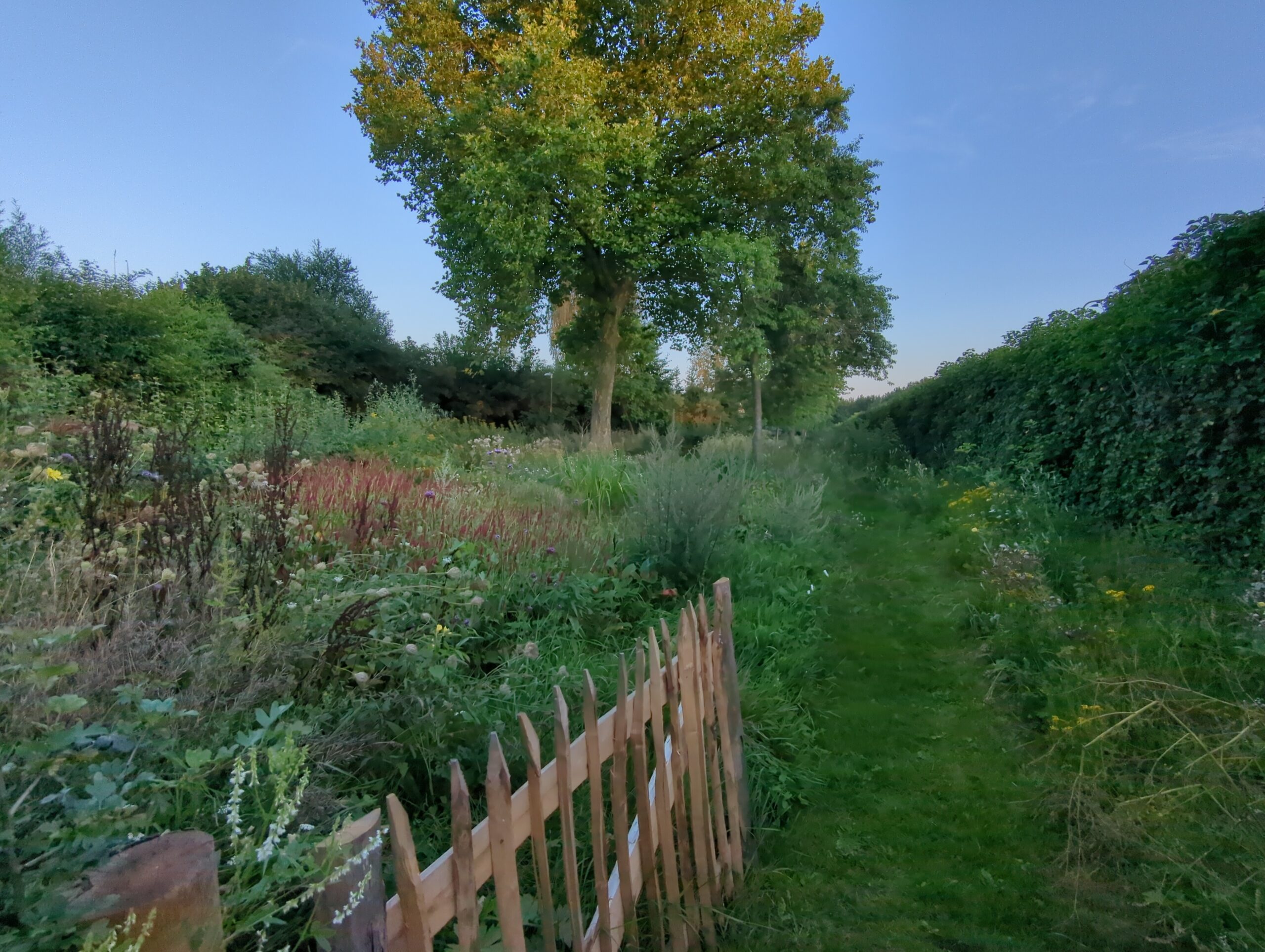 IMG_20230823_202842_416