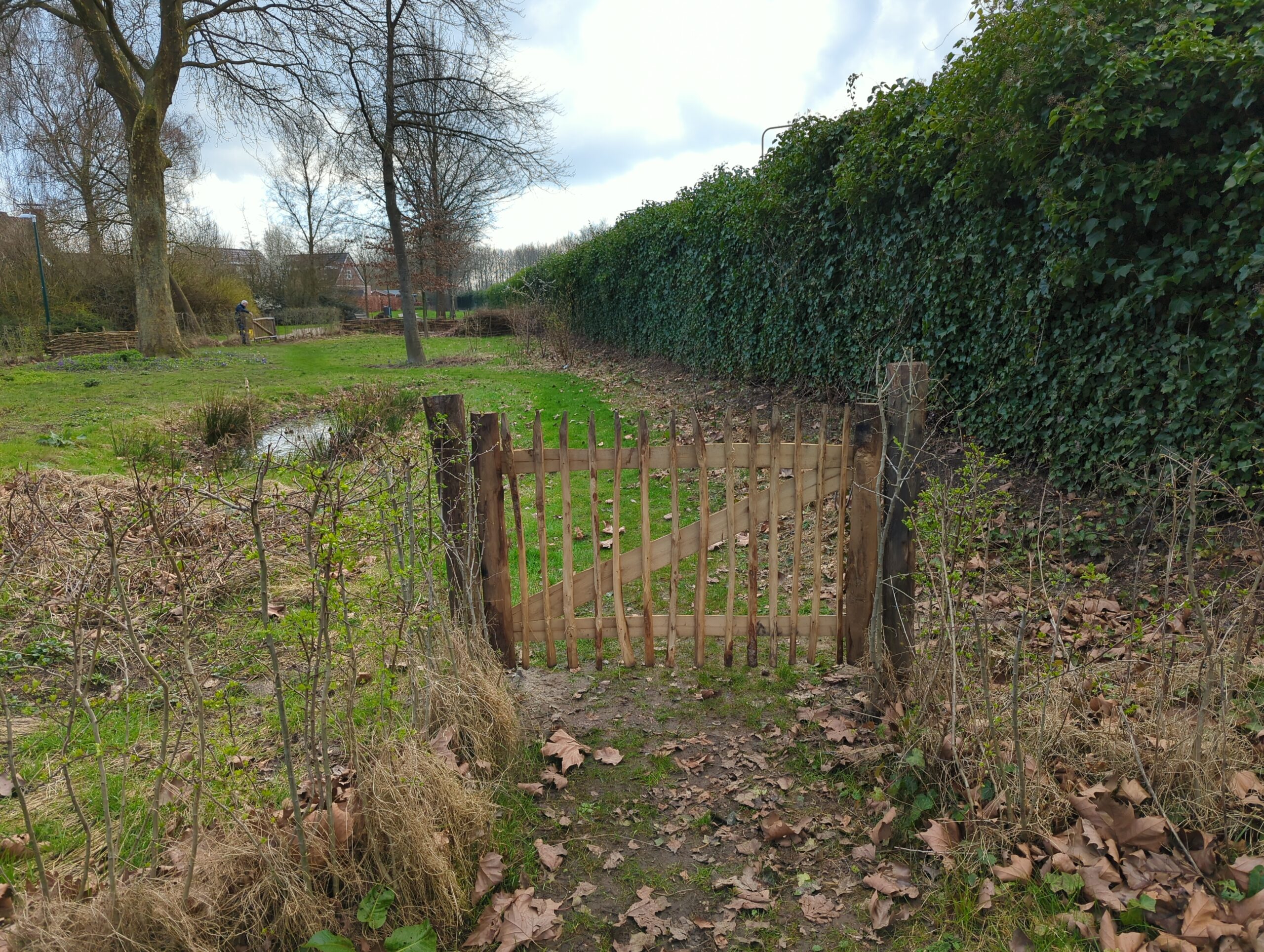 IMG_20240306_145152_415