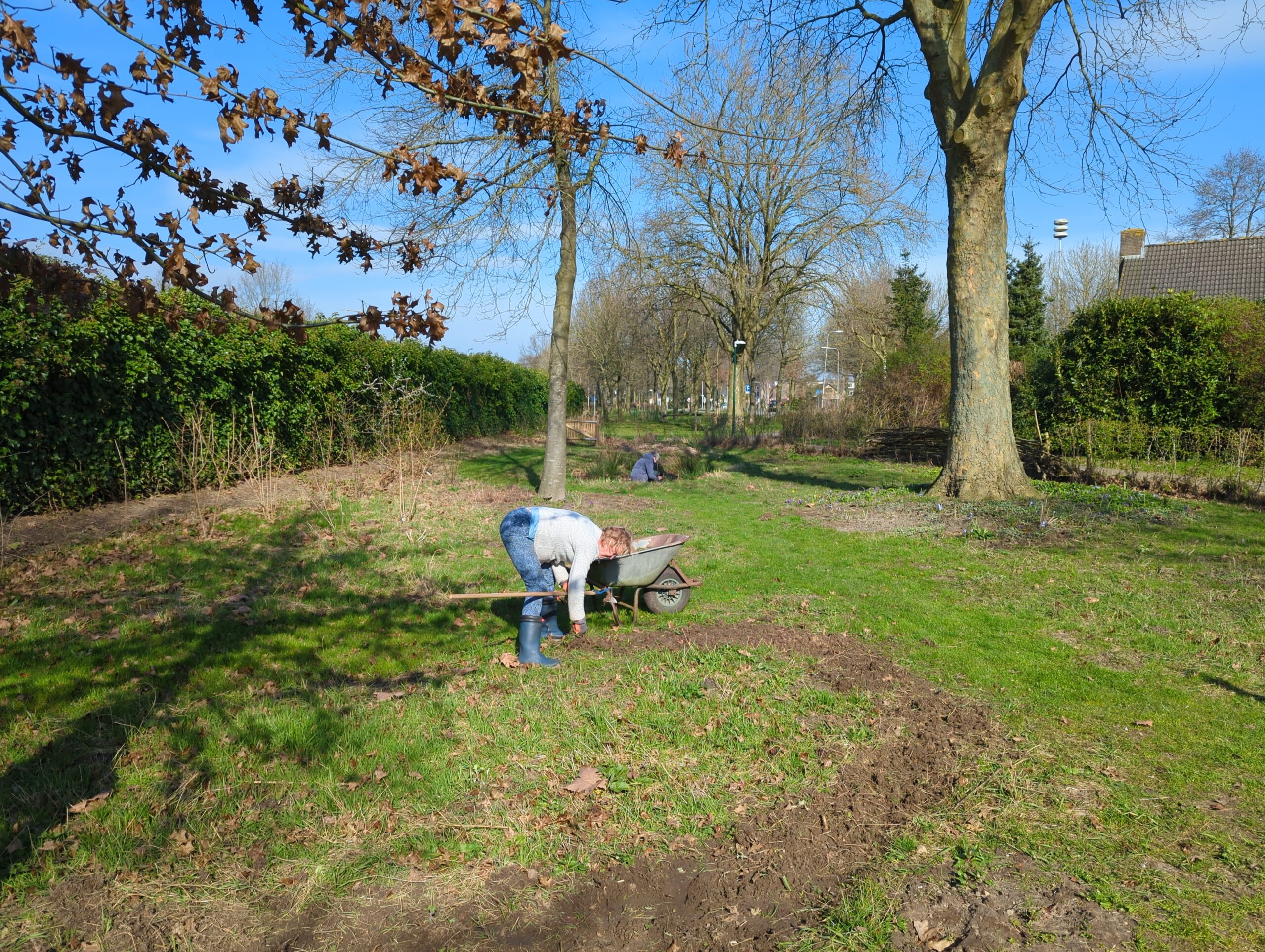 IMG_20240309_111822_254