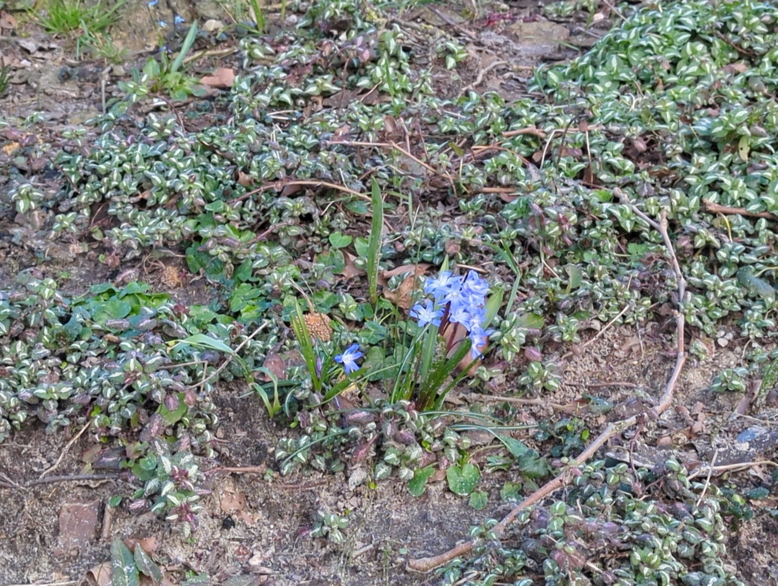 IMG_20240309_121819_356