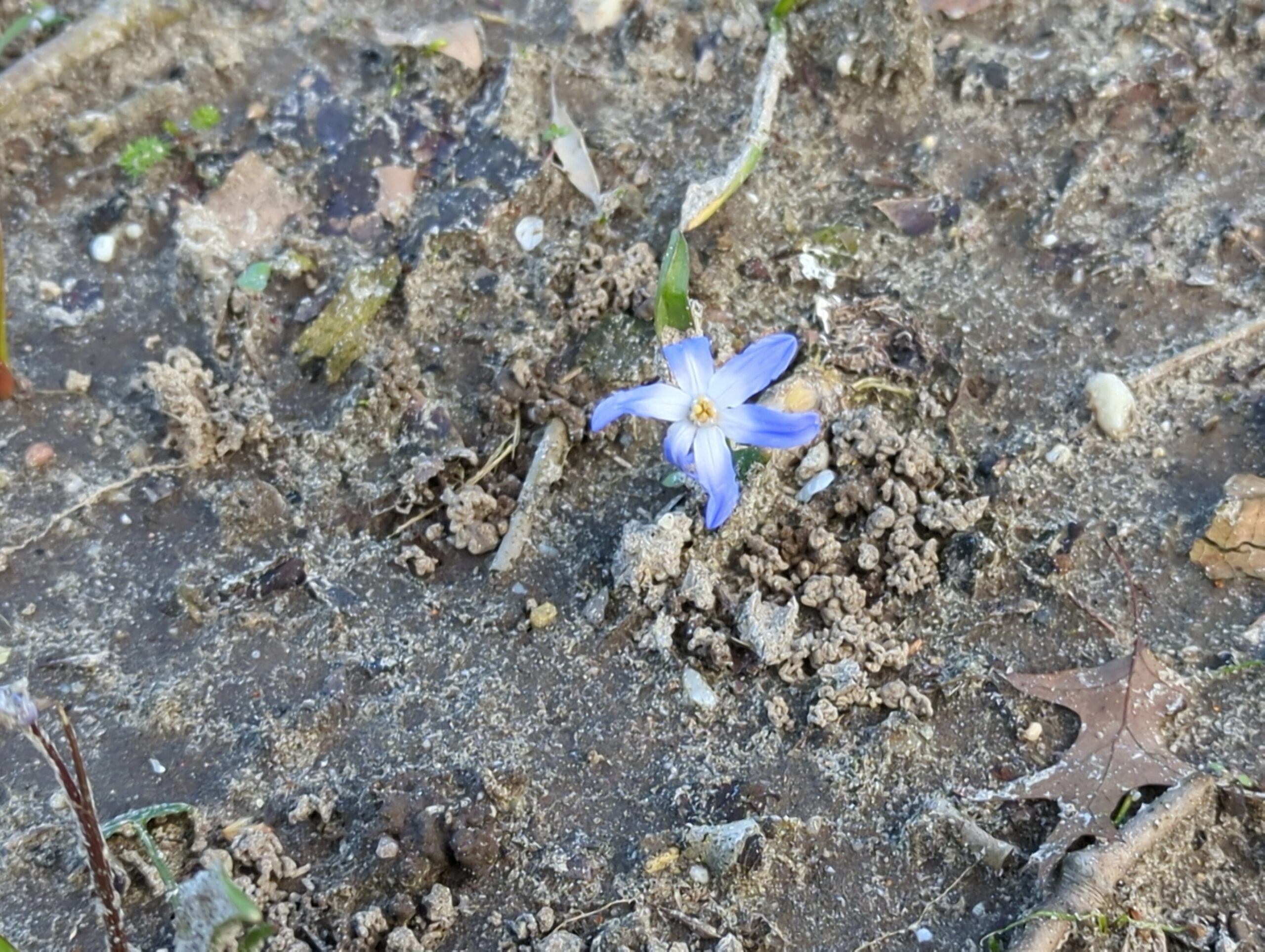 IMG_20240309_121823_064