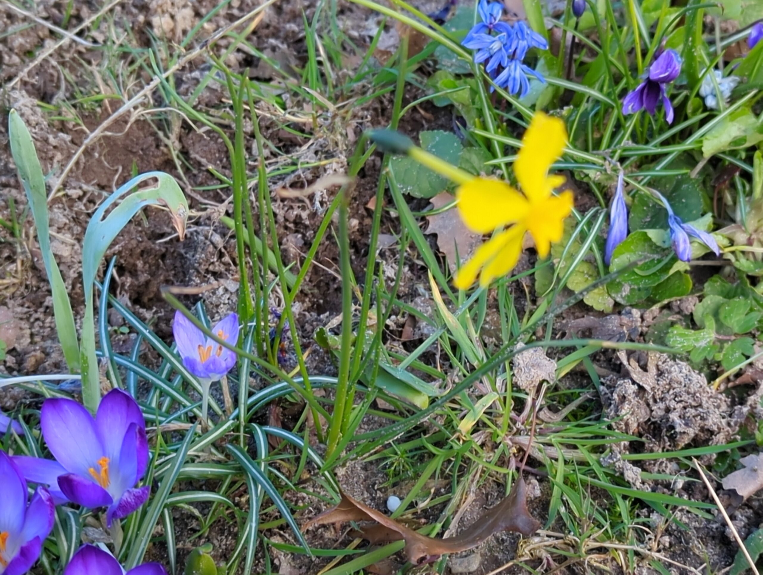 IMG_20240309_121840_722