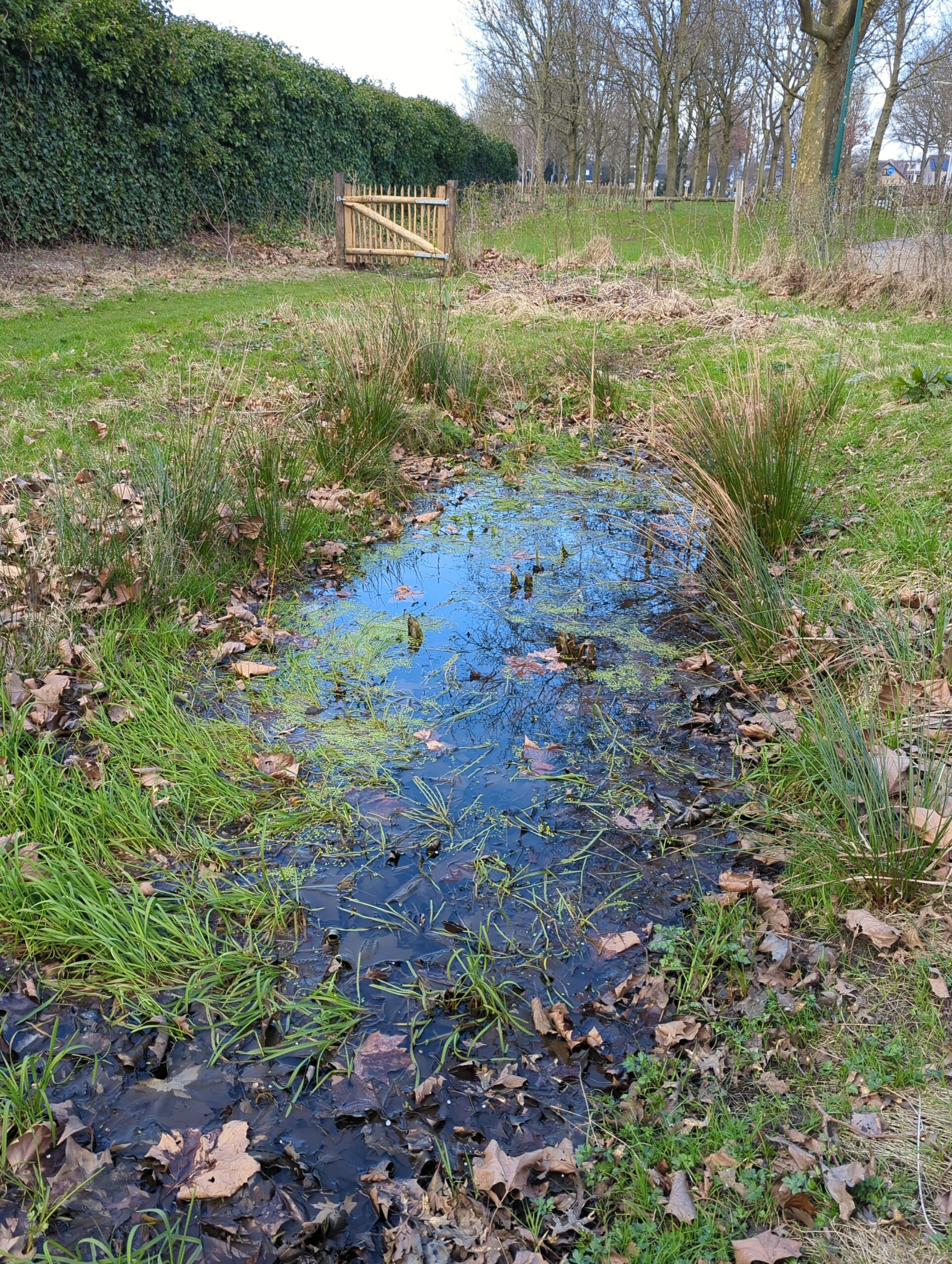 IMG_20240309_121934_894