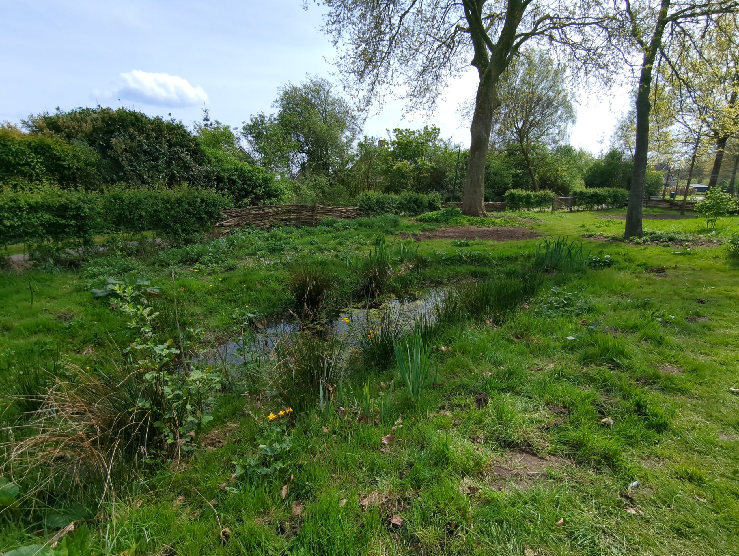 IMG_20240413_131904_860