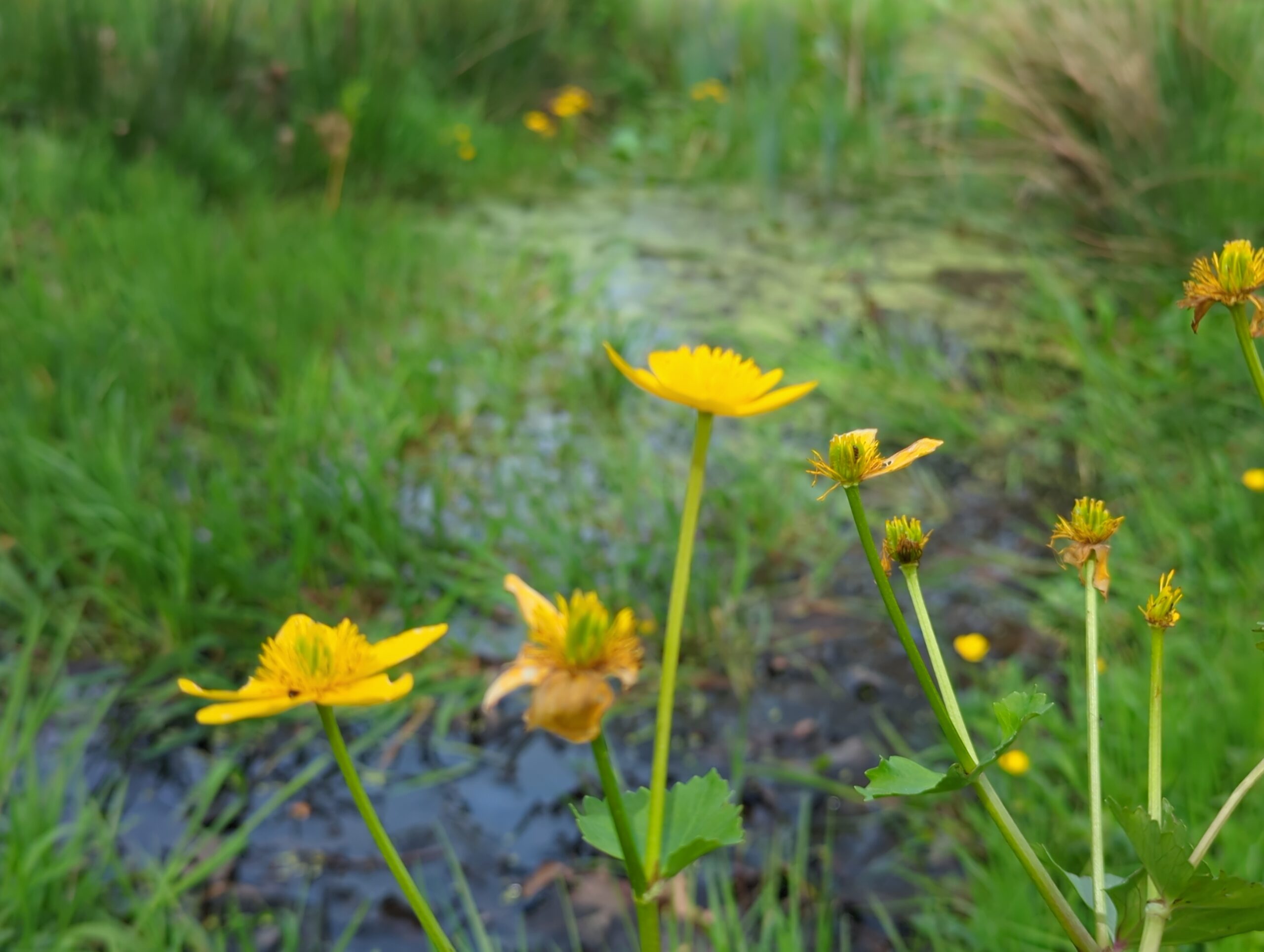 IMG_20240413_132114_223