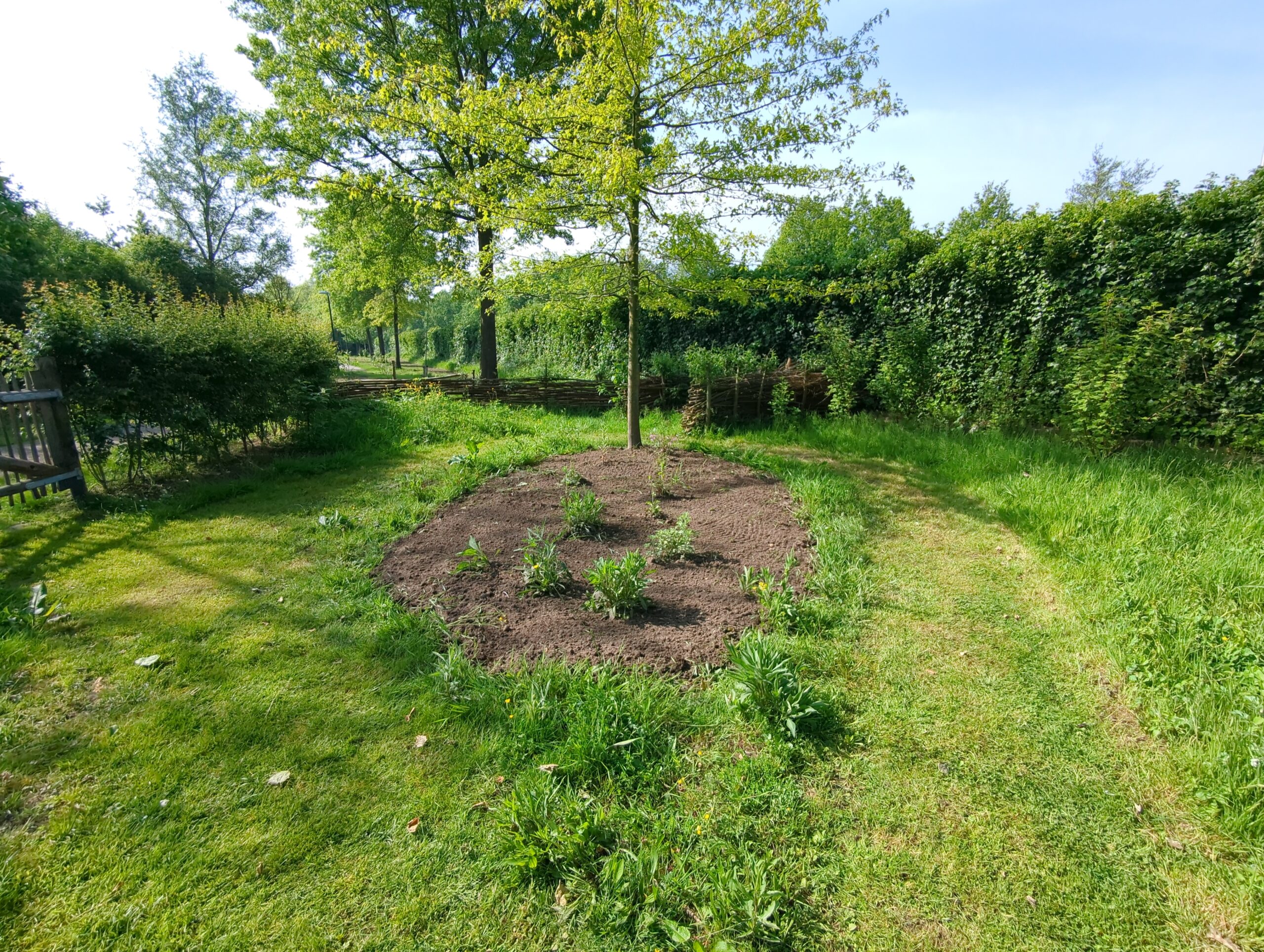 IMG_20240511_103342_670