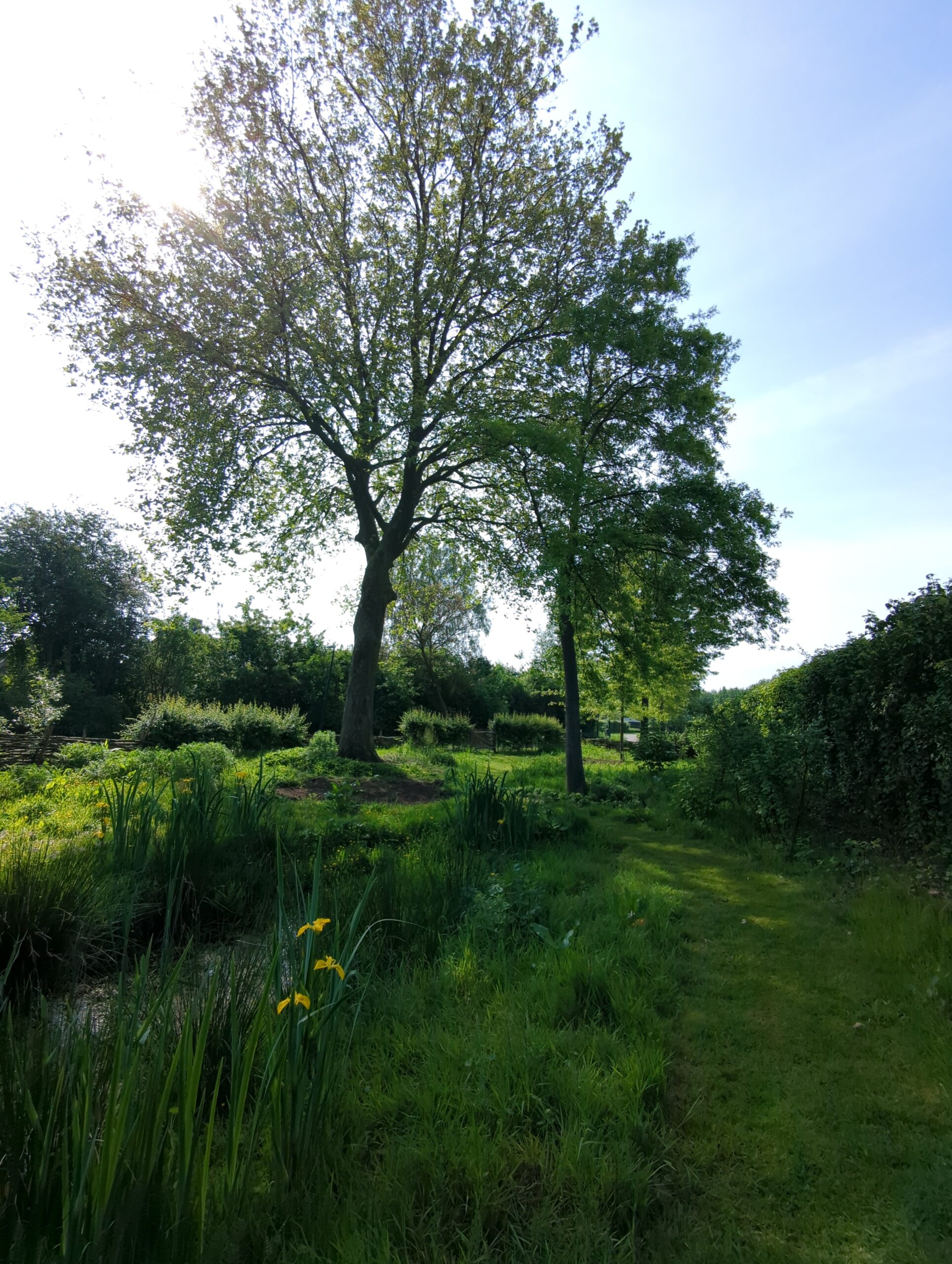 IMG_20240511_103432_703