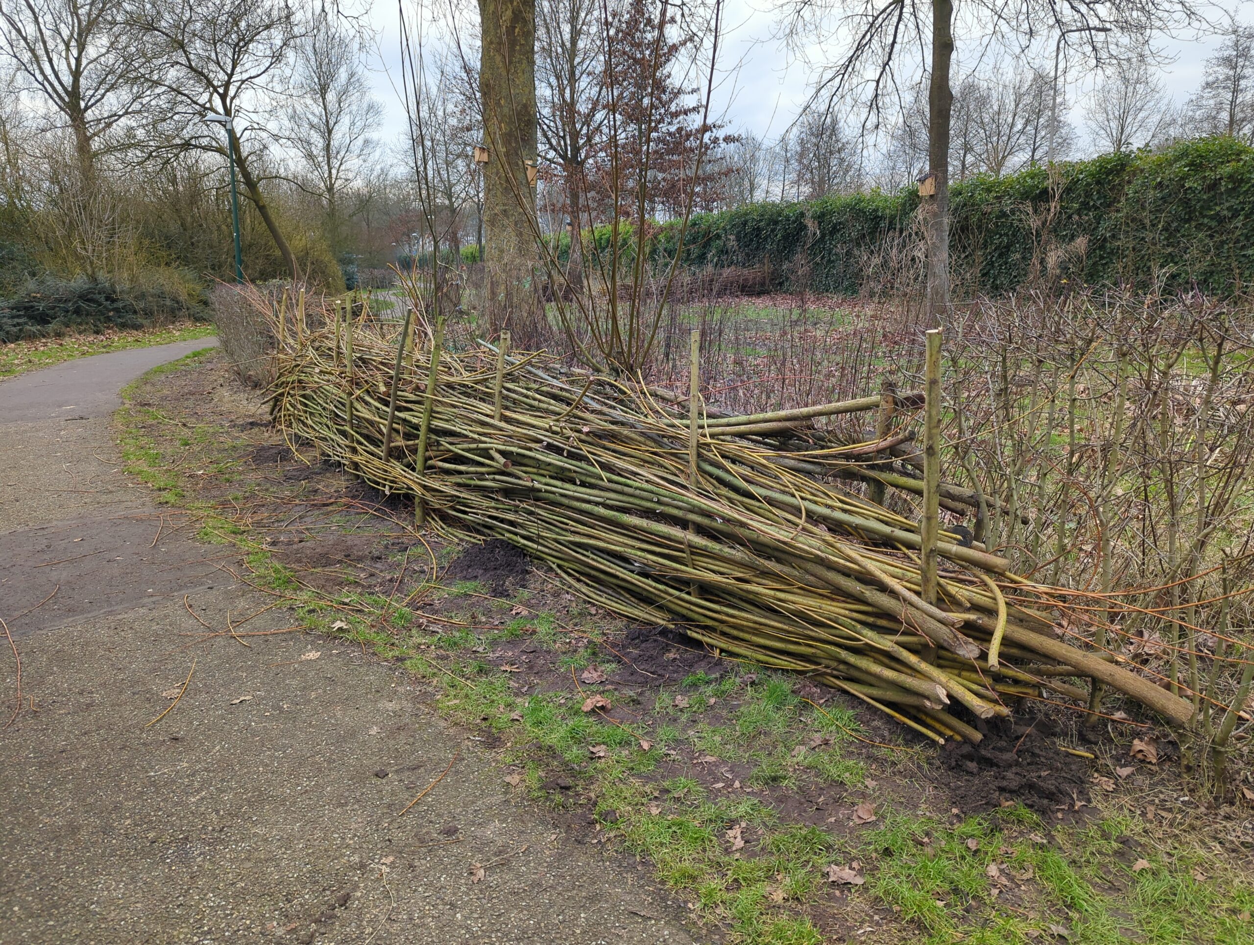 IMG_20250208_130821_393