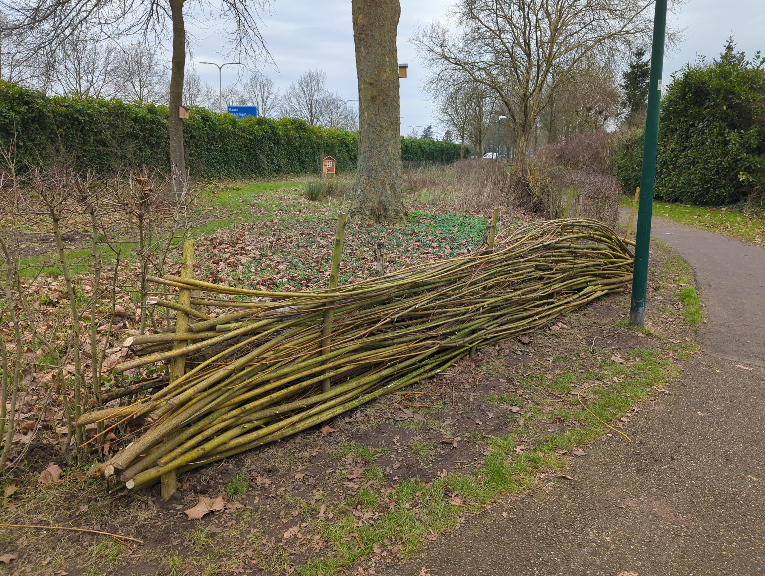 IMG_20250208_130854_452