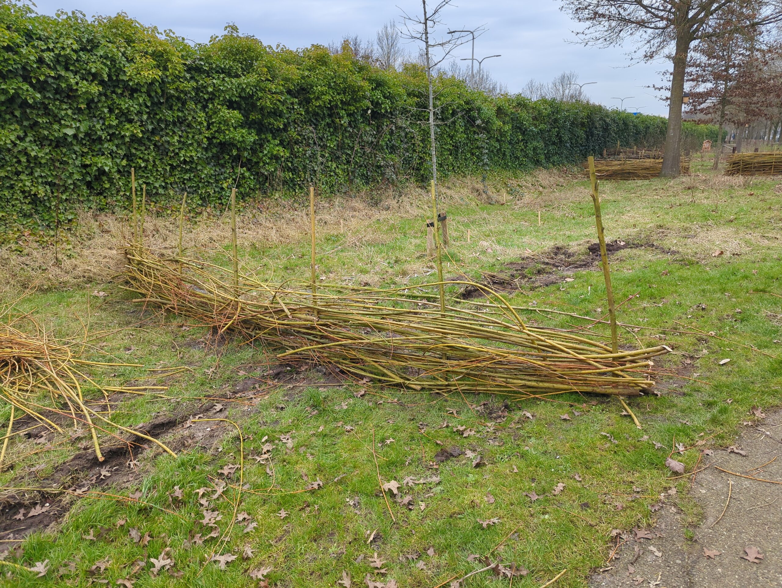 IMG_20250208_130948_145