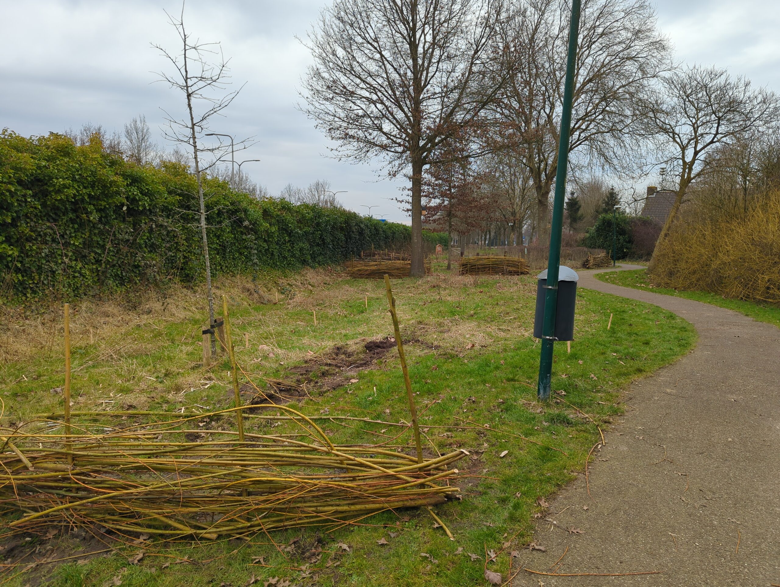 IMG_20250208_130956_429