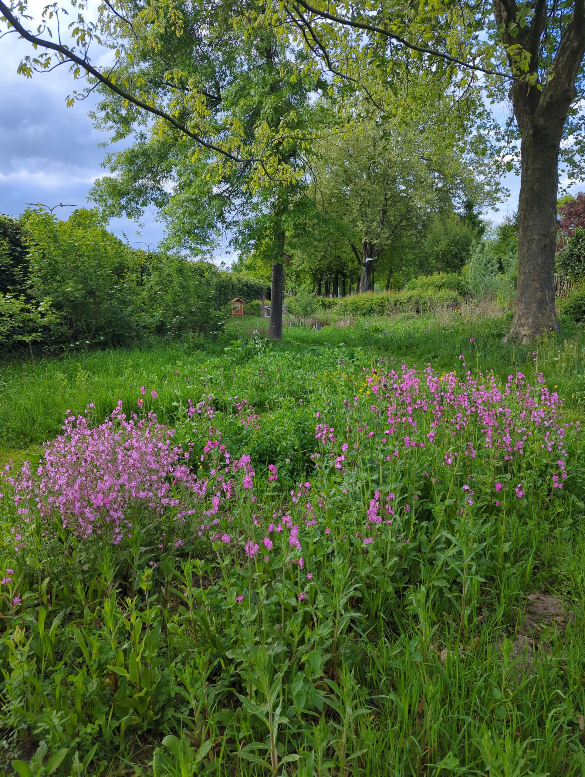 IMG_20250504_190652_869