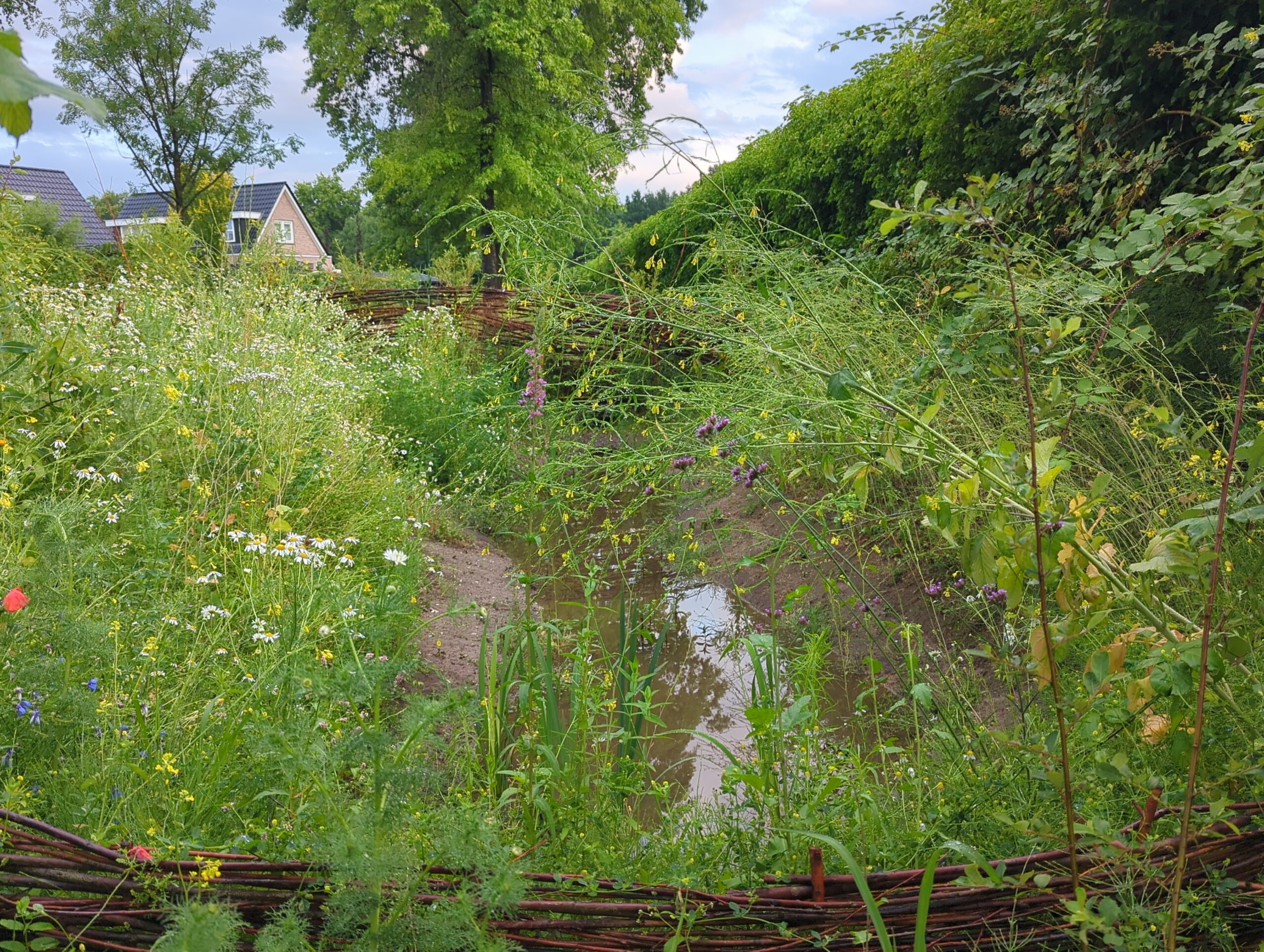 IMG_20250706_212944_539