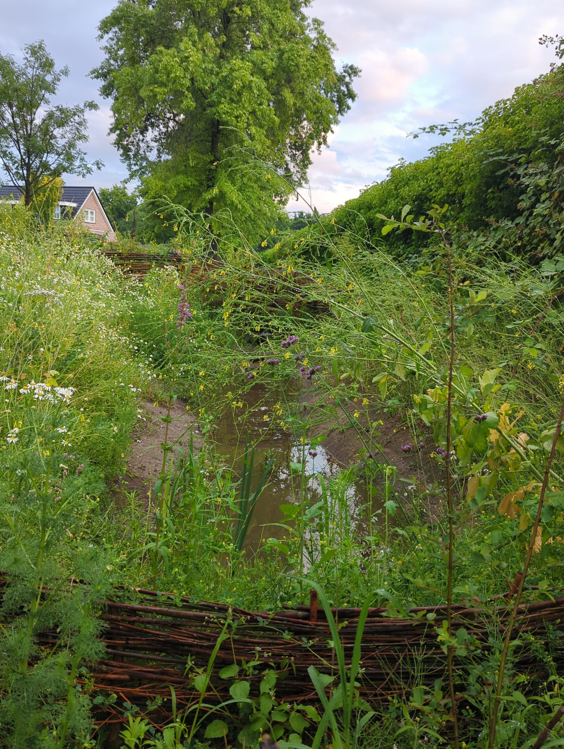 IMG_20250706_212947_200