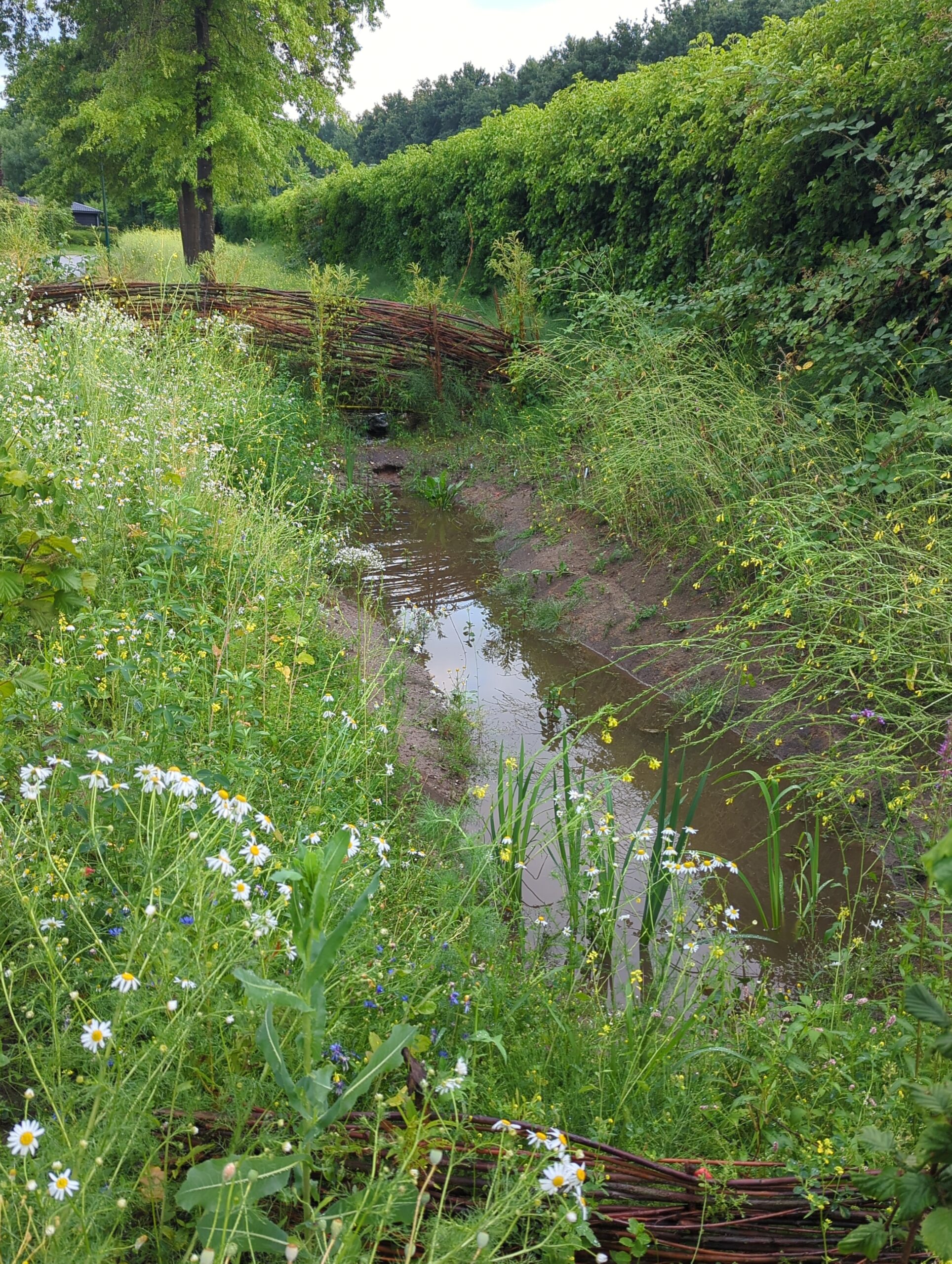 IMG_20250706_212959_551