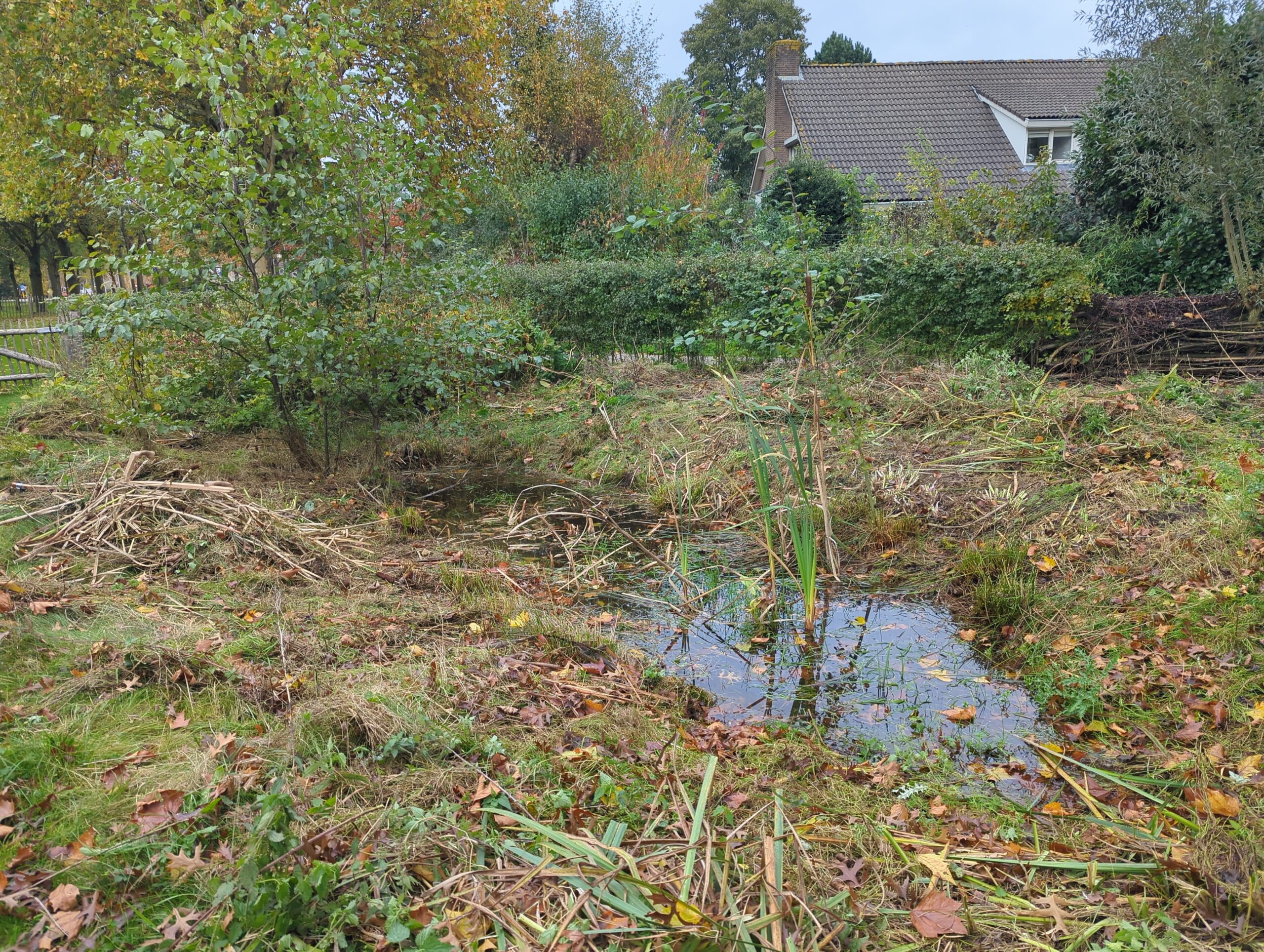 IMG_20251031_144734_261