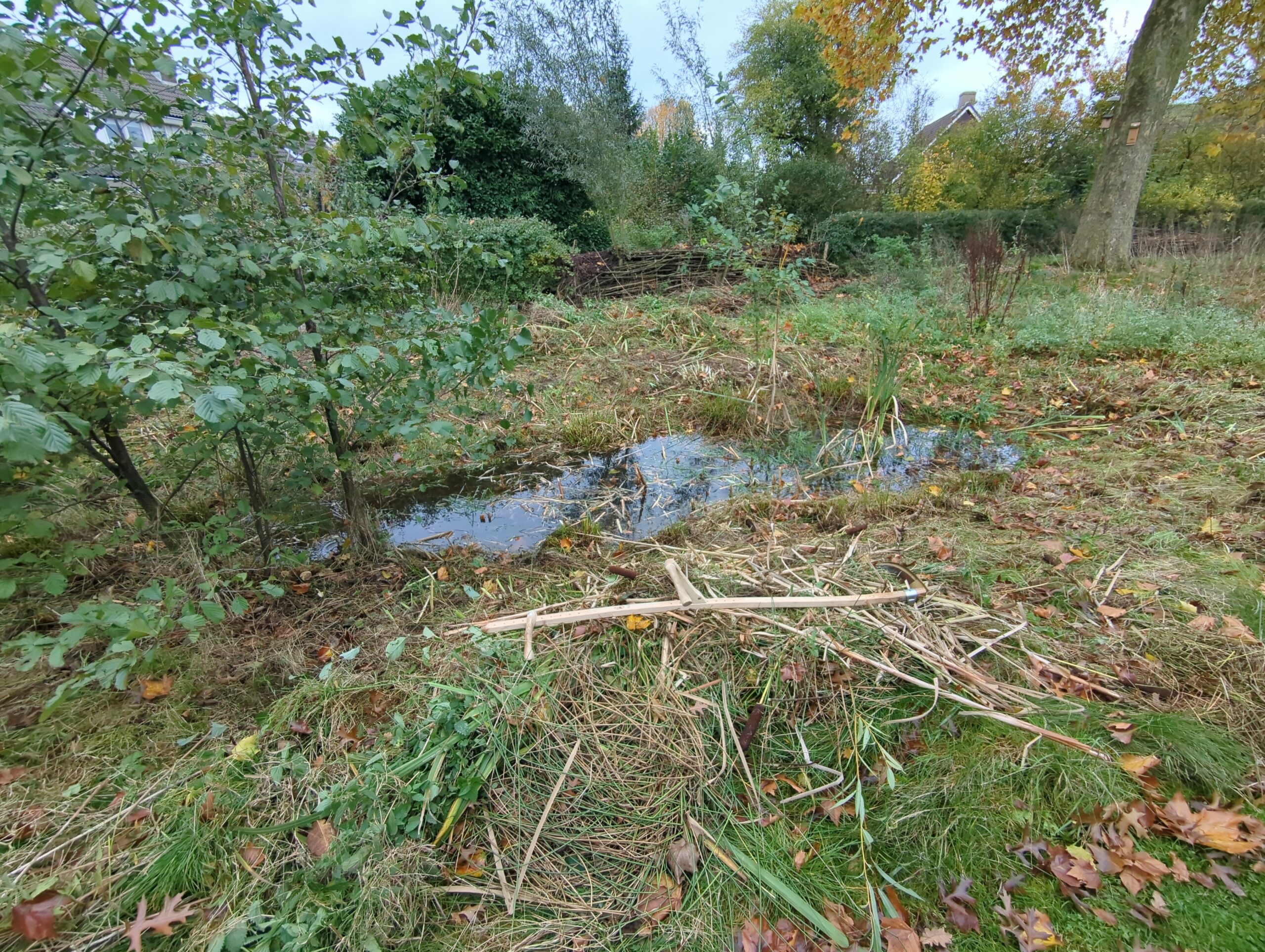 IMG_20251031_144827_910