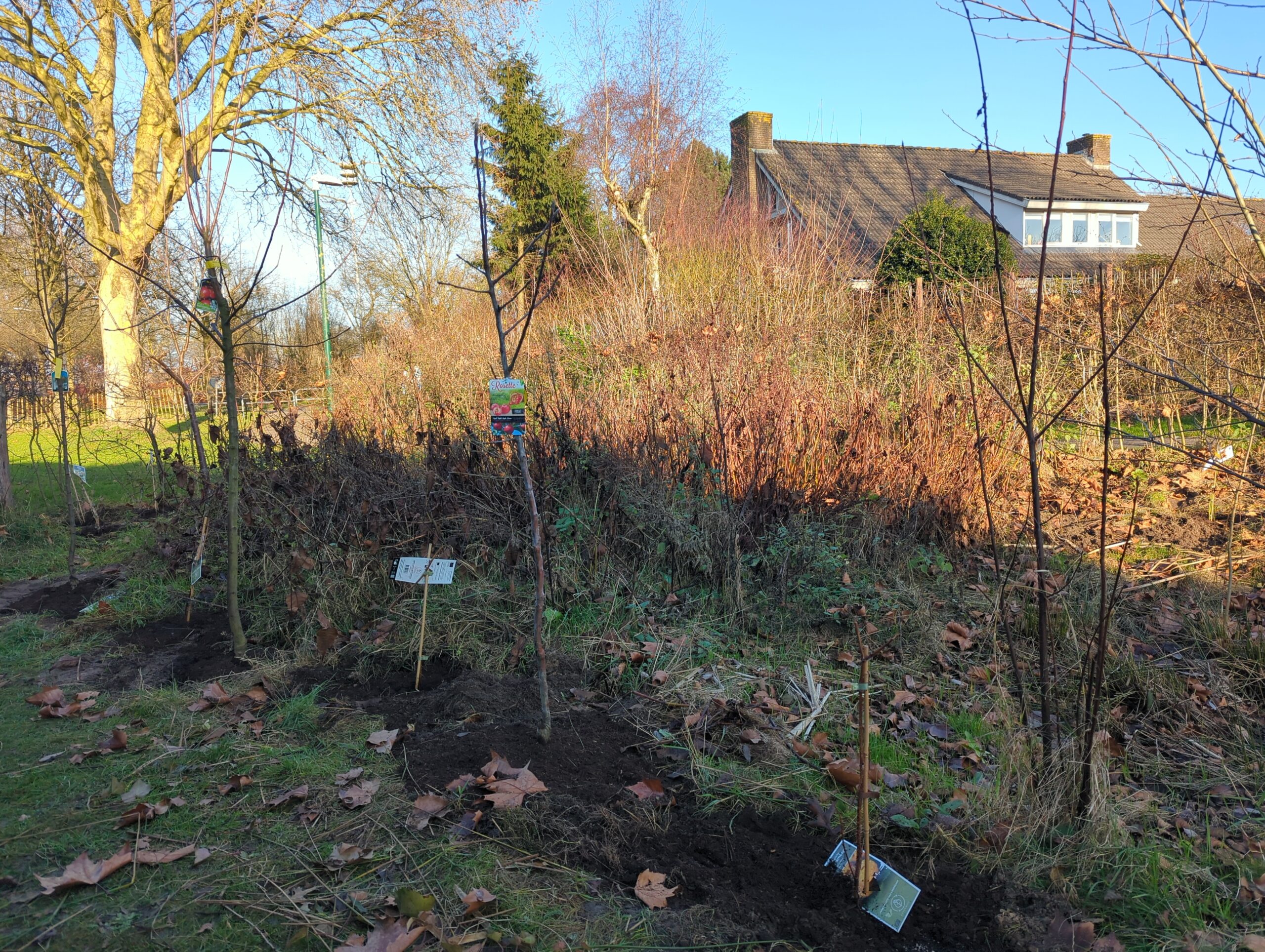 IMG_20251215_135548_471