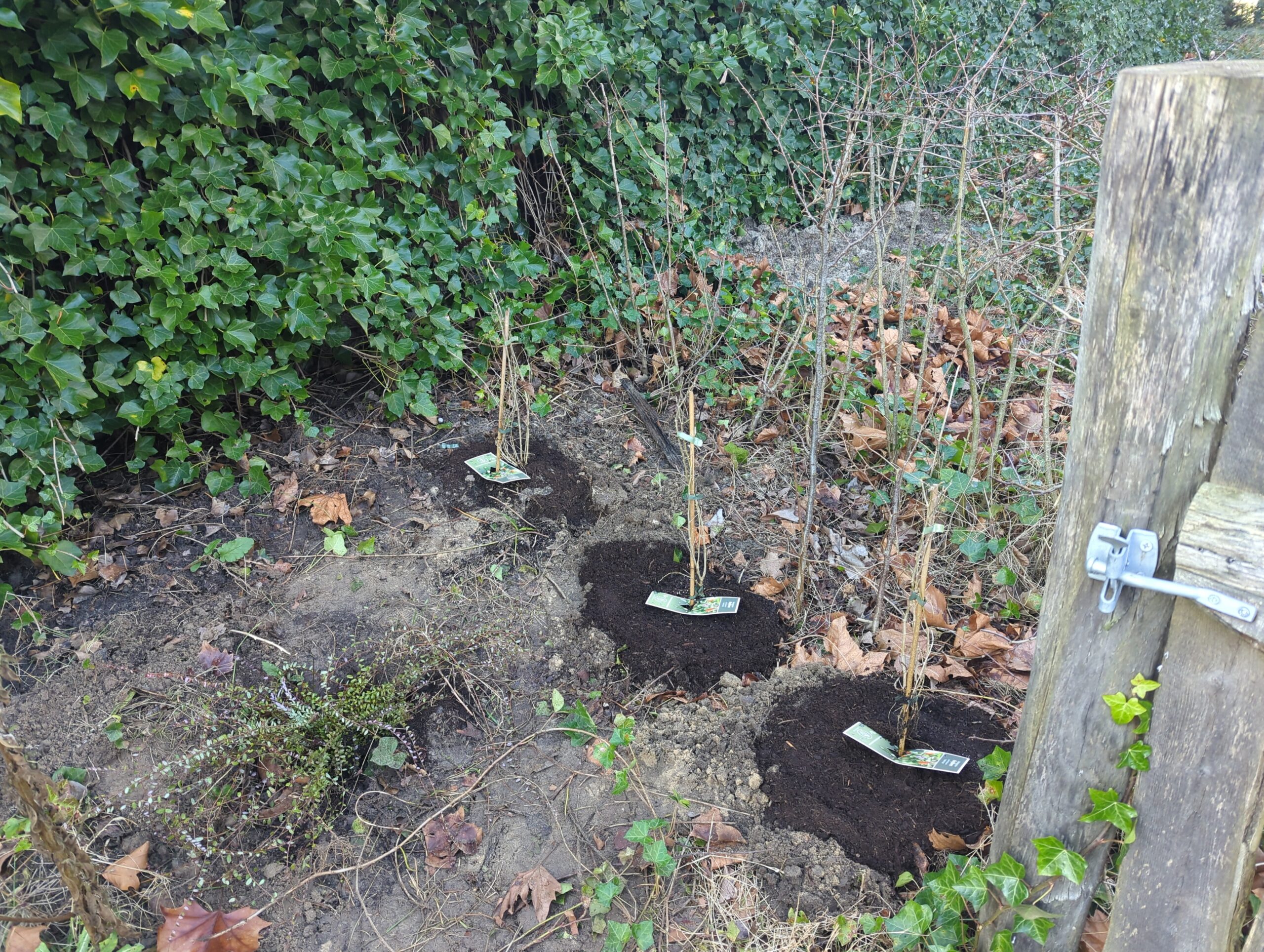 IMG_20251215_135623_829