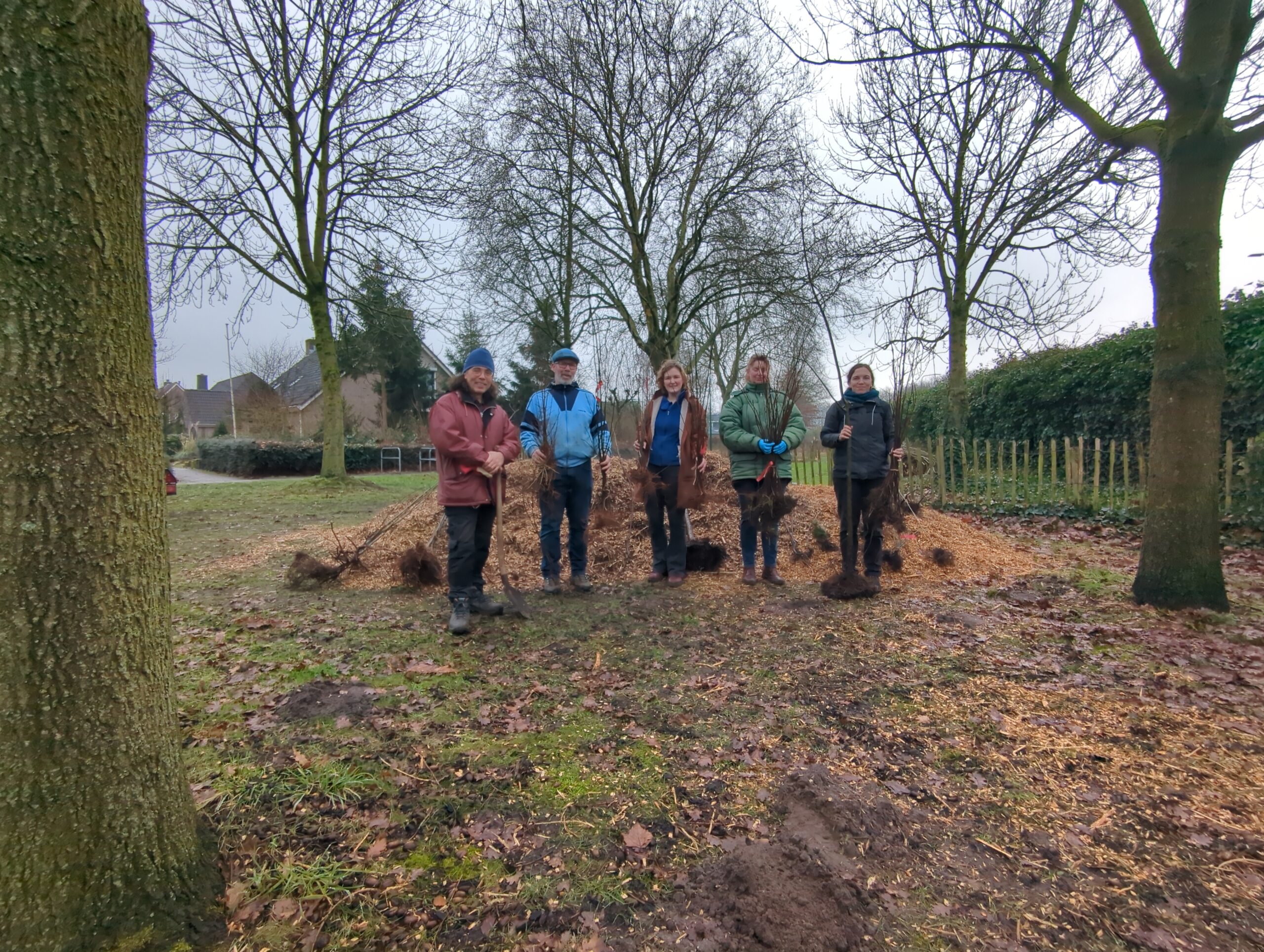 IMG_20260131_123553_305