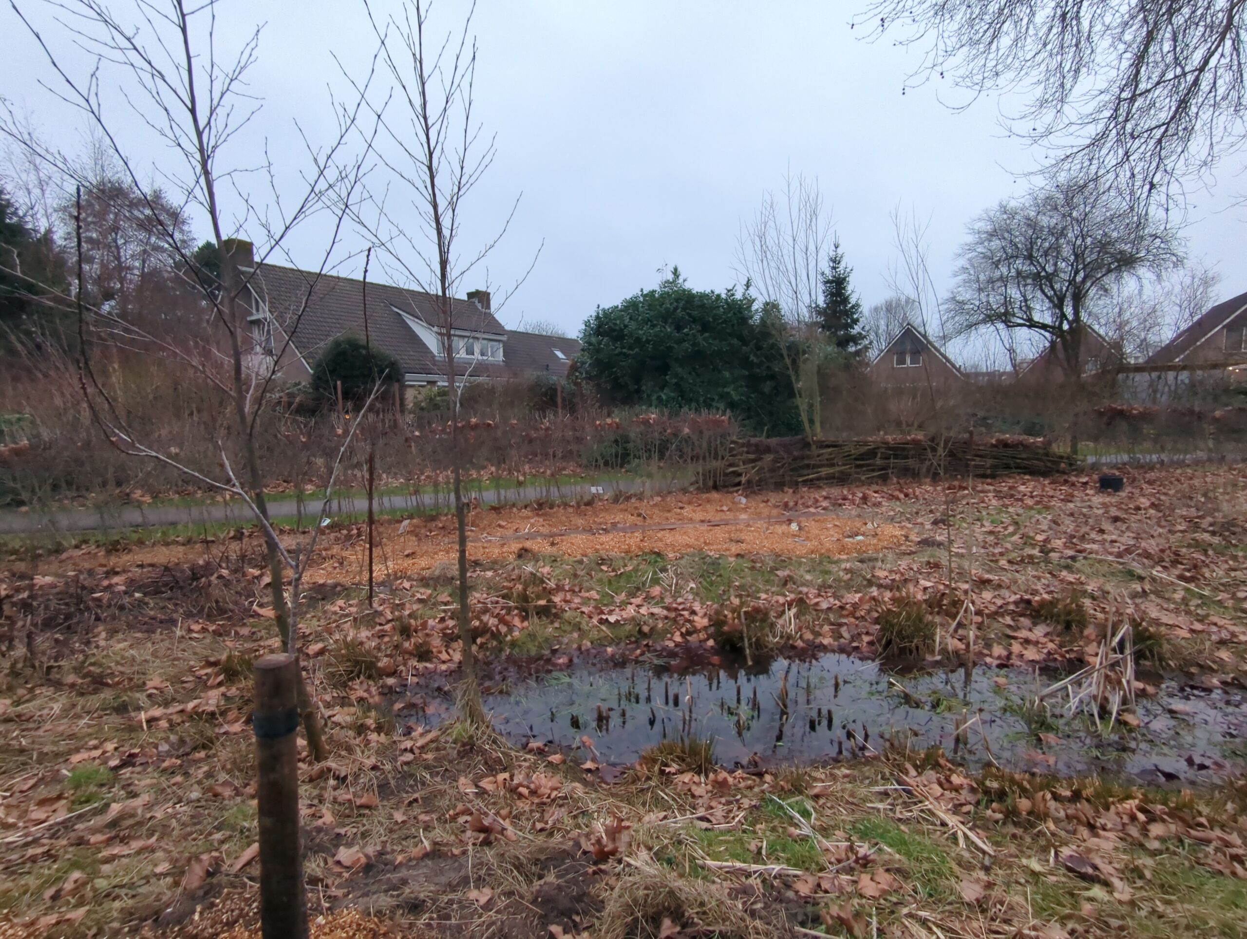 IMG_20260206_172823_665